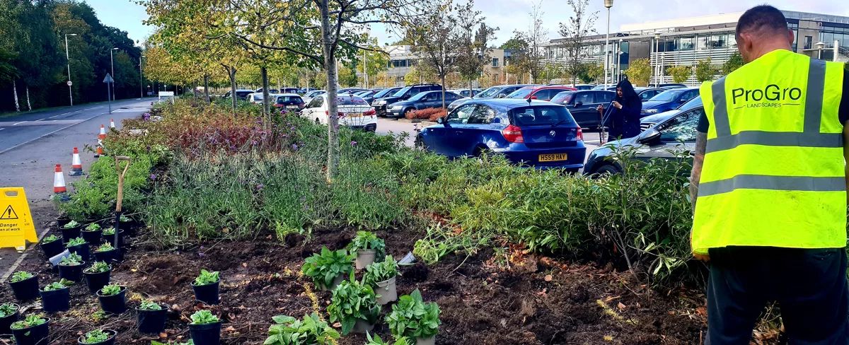 Featured commercial work