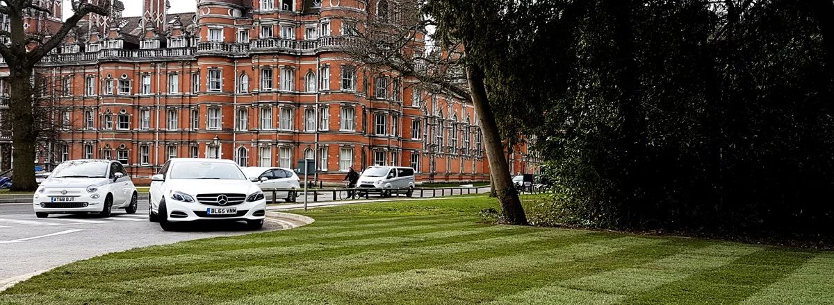 Featured lawn installation work